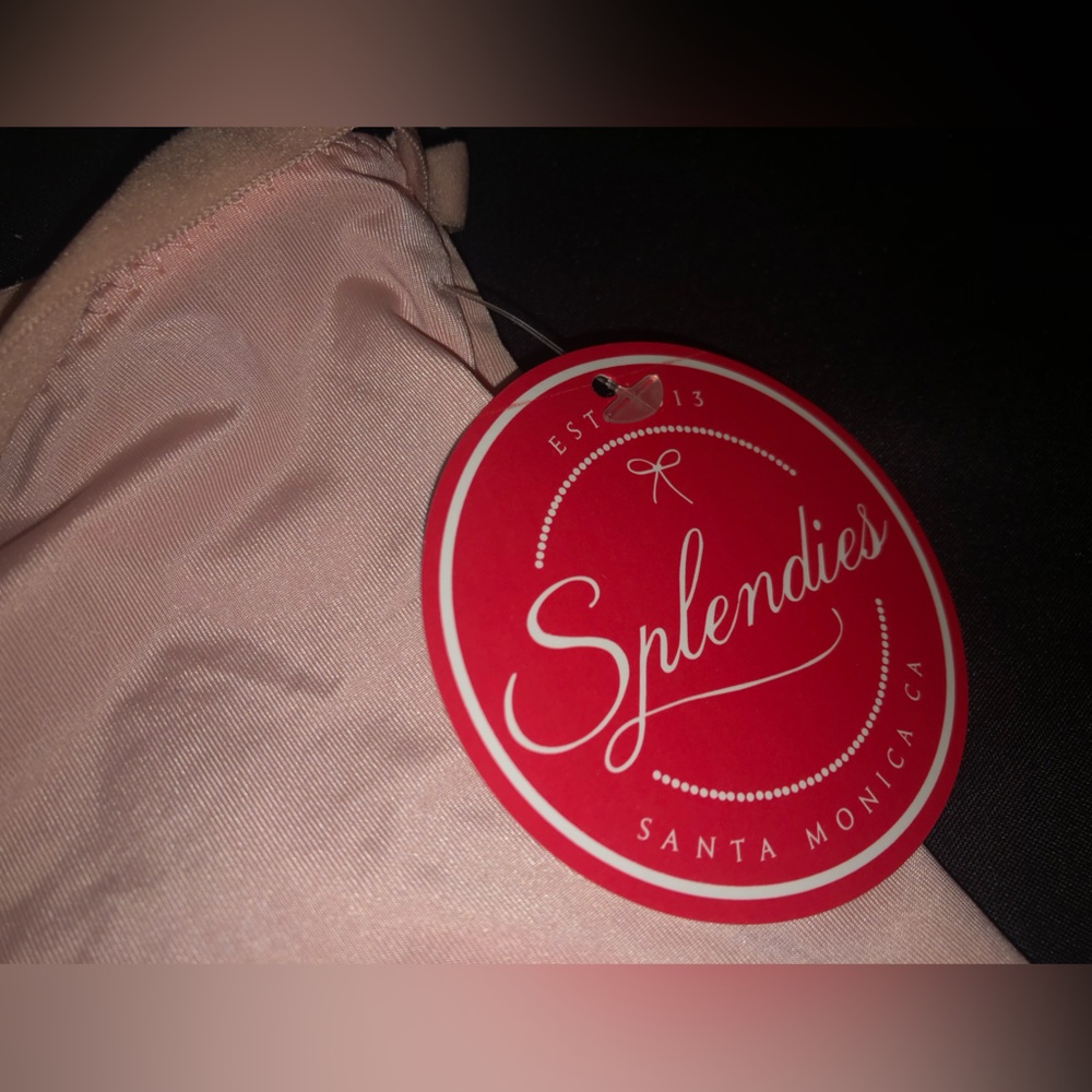 Splendies panties and Wiltshire Montana 2 pair 4xl